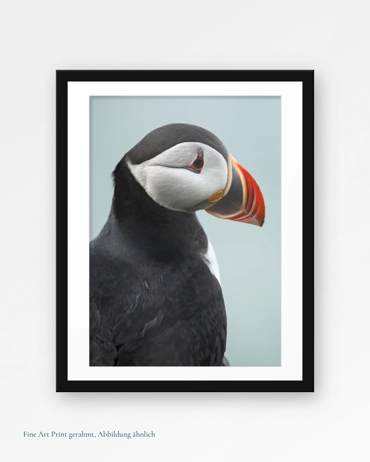Puffin-Porträt I